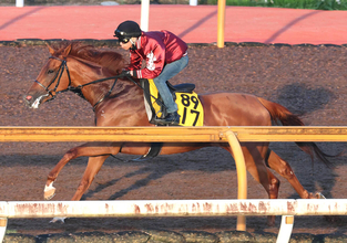 日曜小倉競馬場の注目激走馬…小倉１１Ｒ小倉記念・Ｇ３