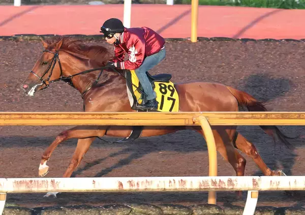 日曜小倉競馬場の注目激走馬…小倉１１Ｒ小倉記念・Ｇ３