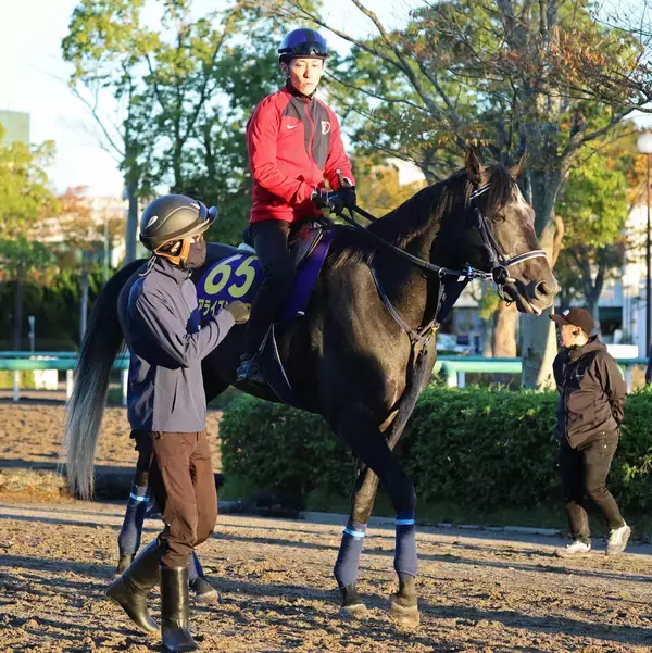【天皇賞・秋・金曜気配】リアライズシリウスは軽快なフットワークで登板　手塚久調教師「素軽くなっている」
