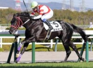 【阪神７Ｒ・２歳未勝利】アイドルホース・ヨカヨカの初子ヨカオウが初勝利　岩田康誠騎手「距離はもっと長くても」