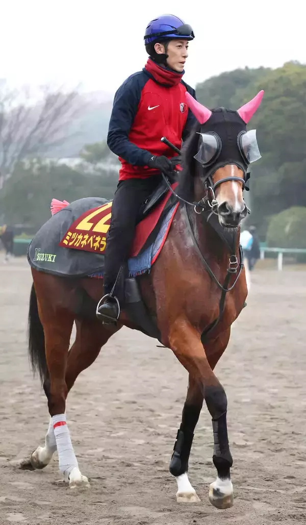 【阪神ＪＦ】アルテミスＳ２着のミツカネベネラが阪神競馬場に到着　陣営「思った通りにこられている」