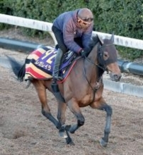 「ほんま合わへん」「完全に位置の差」有馬記念１番人気がまさかの馬券圏外！レガレイラの敗戦にネット落胆