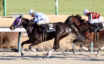 【中山９Ｒ・成田特別】“年男”の柴田善臣騎手が今年初勝利＆最年長記録更新「厩舎の方が喜んでくれるのが一番」