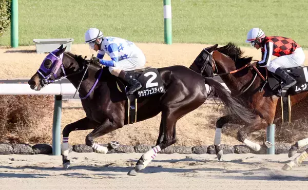 【中山９Ｒ・成田特別】“年男”の柴田善臣騎手が今年初勝利＆最年長記録更新「厩舎の方が喜んでくれるのが一番」