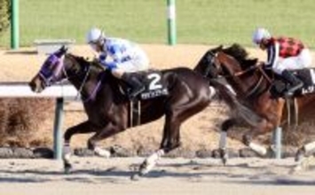 【中山９Ｒ・成田特別】“年男”の柴田善臣騎手が今年初勝利＆最年長記録更新「厩舎の方が喜んでくれるのが一番」