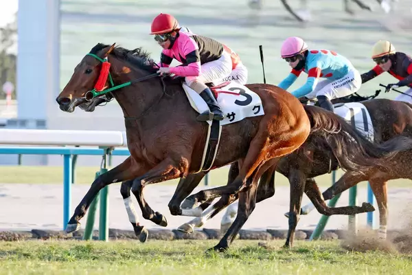 １０億円超が返還されたレースはサクがＶ「聞いたことねえぞ」「うおぉぉ」新馬以来１５１３日ぶり勝利にネット歓喜
