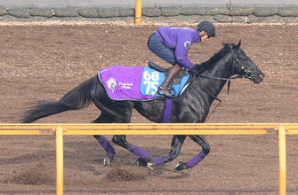 【注目馬動向】兄姉にＧ１馬３頭の良血馬　グランヴィノスは金鯱賞での復帰を視野