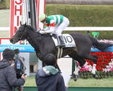 「【阪神５Ｒ・３歳未勝利】シルバーリムが直線で抜け出しＶ　国分優作騎手「毎日ケアしているというのがすごく伝わってきた」」の画像1