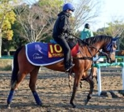 【桜花賞】決戦の地へ到着したディアダイヤモンド　カイバ食いも問題なく「自分から進むそぶりを...」と陣営は納得