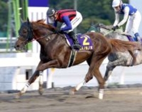 【二十四万石賞・高知】単勝１・２倍のユメノホノオは３着に敗れる　３冠馬対決でプリフロオールインに逃げ切り許す