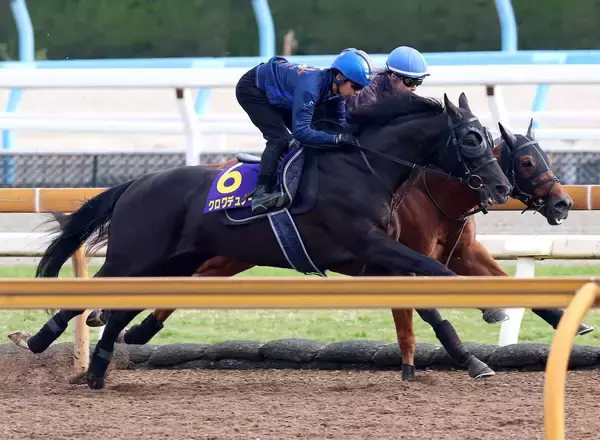 【天皇賞・春】クロワデュノールはＣＷコースで楽にラスト１１秒３　斉藤崇調教師「先週よりも格段に良くなっています」