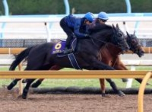 【天皇賞・春】クロワデュノールはＣＷコースで楽にラスト１１秒３　斉藤崇調教師「先週よりも格段に良くなっています」