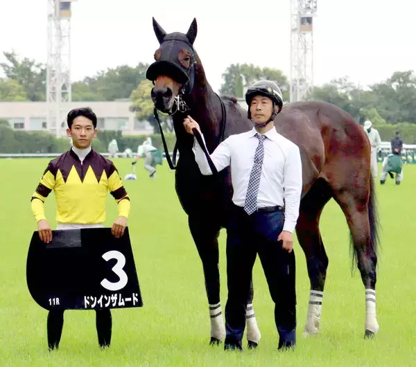 【東京１１Ｒ・欅Ｓ】斤量５９キロのドンインザムードが７馬身差ぶっちぎりＶ　荻野極騎手「反応も良かったし強い内容」