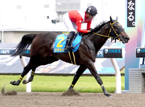 【川崎競馬】素質馬２頭が新馬戦勝ち。「折り合い面がもっと良くなればさらにいい」サンバルカンと「成長力がある」シゲキング