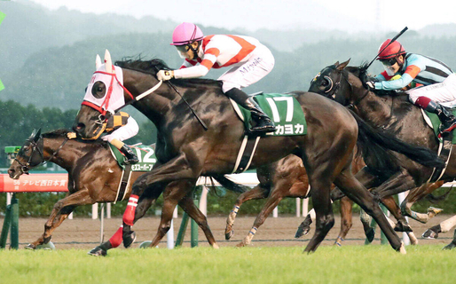 【セレクトセール２０２６】９４００万円でよかよか！　熊本産初のＪＲＡ重賞勝ち母×イクイノックス産駒を窪田芳郎氏が落札
