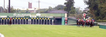 【新潟２歳Ｓ】「返し馬の前からパニックに…」まさかの逸走を坂井瑠星騎手が言及　インカルナータは９着大敗