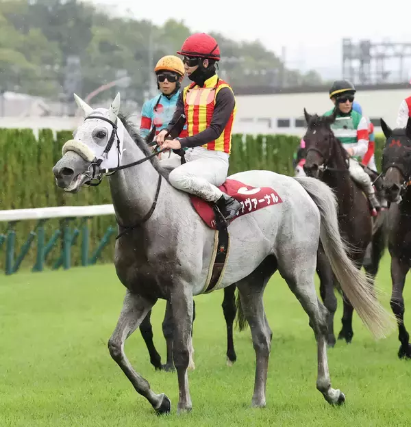 【京都大賞典】アクアヴァーナルは３着まで詰め寄るも「馬場の巧拙も…」松山弘平騎手は敗因探る