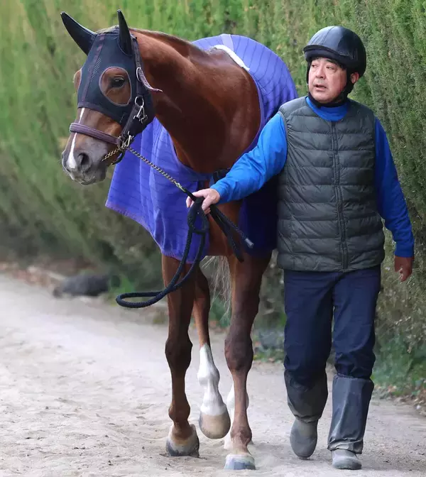 【阪神ＪＦ】赤松賞勝ちのヒズマスターピースは４枠８番　国枝調教師「武豊の隣だね。競ったりしないように」