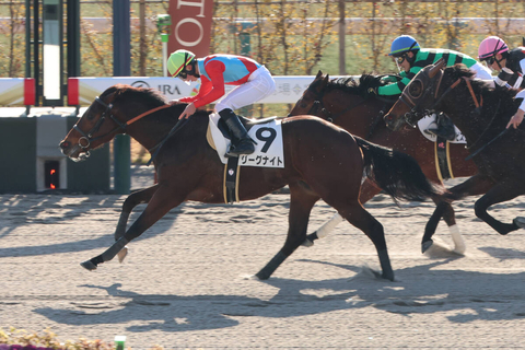 【京都１Ｒ・３歳未勝利】今年ＪＲＡ初星はリメイクの半弟リーグナイト　田山旺佑騎手「幸先いいスタートが切れたかな」