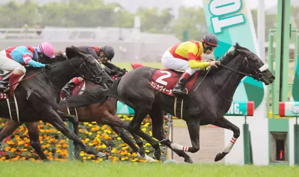 エリカヴィータが競走馬登録を抹消　北海道新ひだか町のグランド牧場で繁殖入りへ　２２年フローラＳで優勝