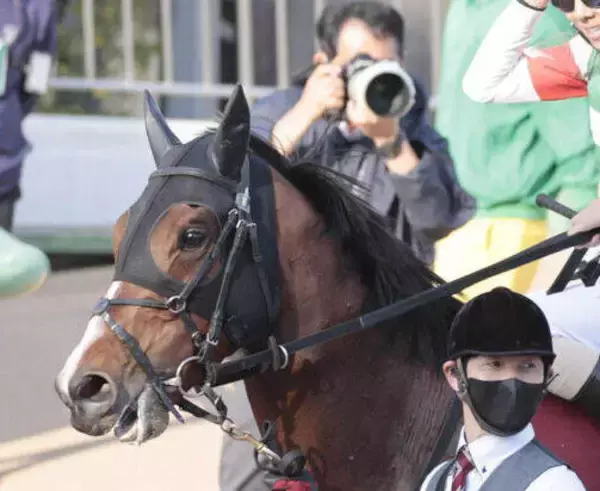 馬トクスタッフが選ぶ日曜の買うべき３頭　逃げ馬不在ならペースメーク力が武器になる東京７Ｒ