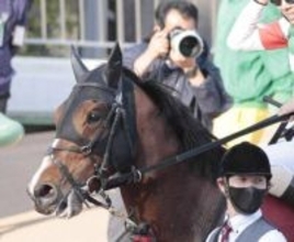 馬トクスタッフが選ぶ日曜の買うべき３頭　逃げ馬不在ならペースメーク力が武器になる東京７Ｒ