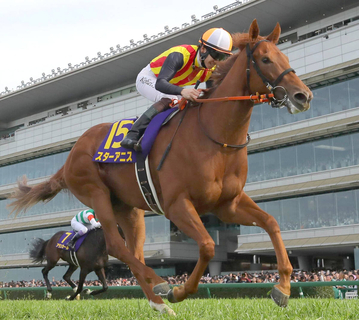 【桜花賞・一夜明け】阪神ＪＦに続く圧勝劇を見せたスターアニスは馬房でリラックス　小川陽一助手「やっぱり強い」