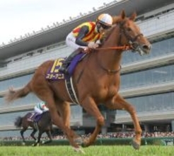 【桜花賞・一夜明け】阪神ＪＦに続く圧勝劇を見せたスターアニスは馬房でリラックス　小川陽一助手「やっぱり強い」