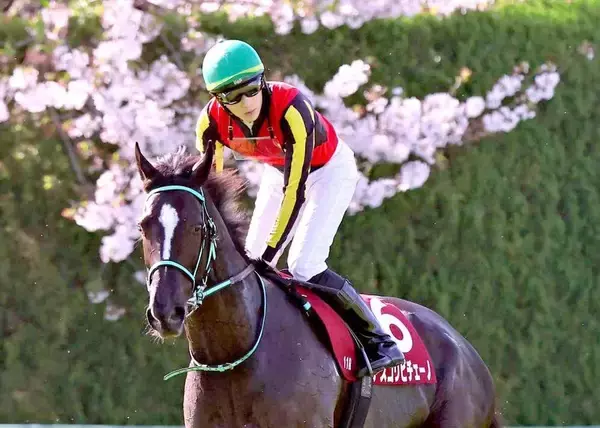 「【注目馬動向】阪神牝馬Ｓ１０着のアスコリピチェーノ　臀筋繊維の損傷による内出血が判明　放牧後に改めて検査予定」の画像