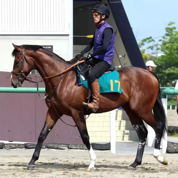 【あすの注目】新種牡馬産駒４頭が東京５Ｒで一気にデビュー　ホットロッドチャーリー産駒のウィンターブリーズは１・５億円馬