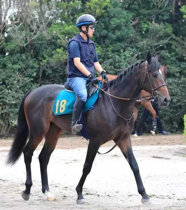 【今週のトク注新馬】リバティアイランドの半弟ダノンダックスが姉と同じ新潟マイルで２６日デビュー　田中博調教師「大きな舞台を目標にできる馬」