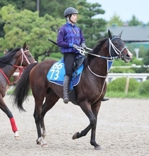 日曜京都競馬場の注目激走馬…京都１１Ｒ京都大賞典・Ｇ２