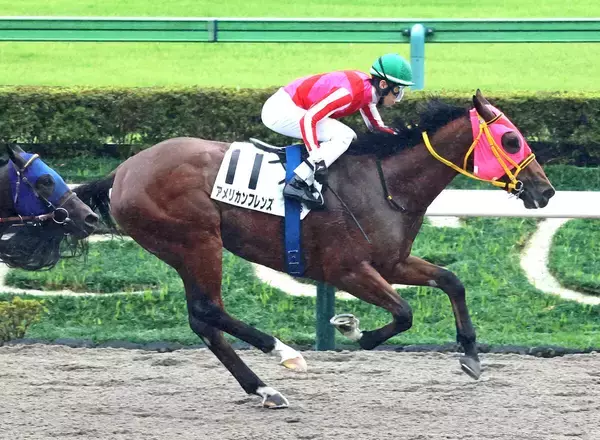 【東京６Ｒ・２歳新馬】５５６キロのアメリカンフレンズが逃げ切ってデビュー勝ち　津村明秀騎手「スタートセンスが抜群」