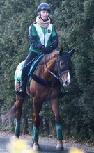 【京都記念１週前】ひと皮むけたシェイクユアハートが重賞連勝へ　宮調教師「好走できれば今後が楽しみになる」