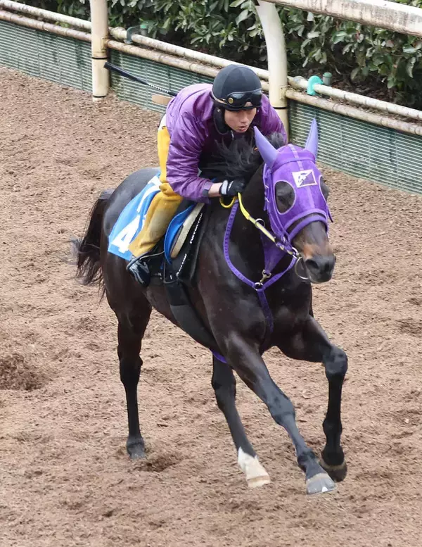 【オーシャンＳ】「空いてましたね」岩田康誠騎手のイン突きさく裂！　レースレコードで重賞初制覇