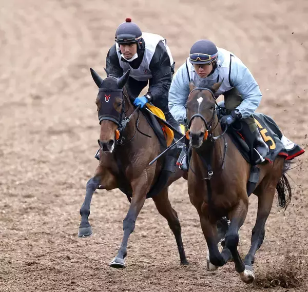 【中山牝馬Ｓ】「言うことない」上原佑調教師も状態に太鼓判　連勝街道を突っ走るニシノティアモが楽々と併入