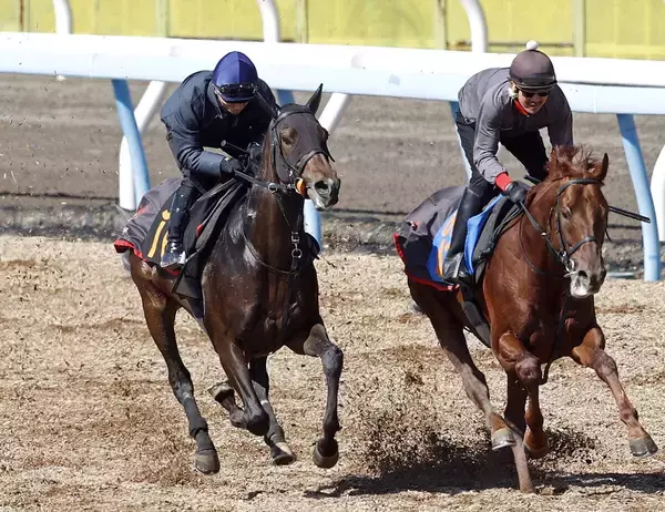 【報知杯弥生賞】ライヒスアドラー上昇ムード 佐々木大輔騎手雪辱へ「動き上がってきた」
