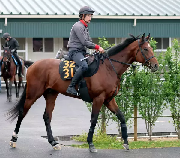 土曜東京競馬場の注目激走馬…東京１１Ｒ青葉賞・Ｇ２