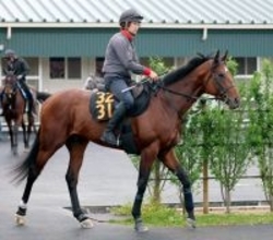 土曜東京競馬場の注目激走馬…東京１１Ｒ青葉賞・Ｇ２