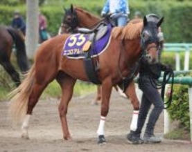 【ＮＨＫマイルＣ】エコロアルバは４か月半ぶりでも仕上がり良好　陣営「明らかに馬が変わってきた」