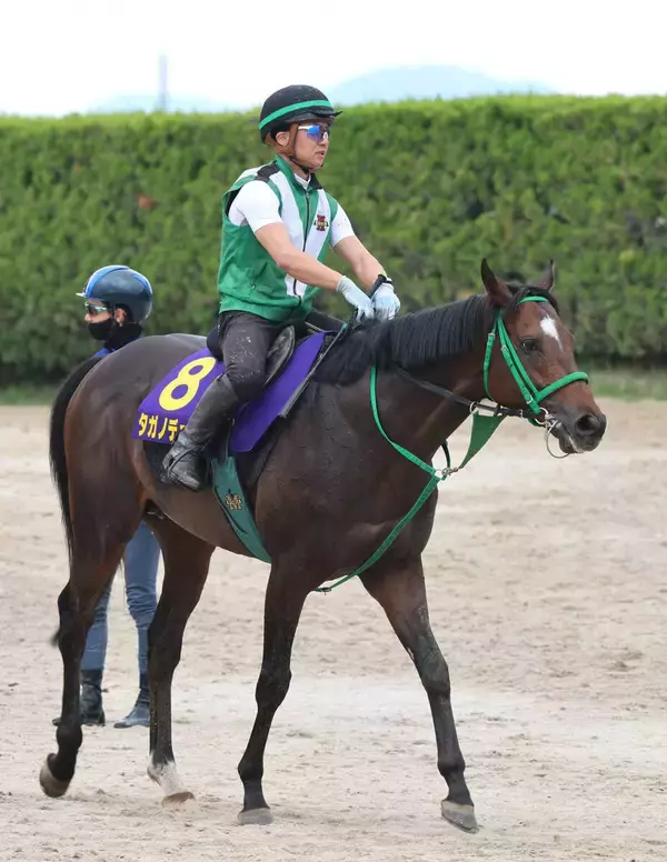 【宝塚記念】春古馬３冠皆勤へタガノデュードは疲れ知らず　宮調教師「かえって元気になっている」
