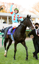 【セレクトセール２０２６】当歳でもダノックスが超高額馬ゲット！　イクイノックス産駒の牡馬を３億１０００万円で落札
