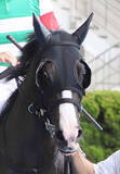 「【函館２歳Ｓ】佐々木大輔騎手「馬場の差ですかね」祖母シーザリオの良血馬イモージェンは惜しくも２着」の画像1