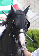 【函館２歳Ｓ】祖母シーザリオの良血馬イモージェンは２着　父サリオスのＪＲＡ重賞初タイトルは持ち越し