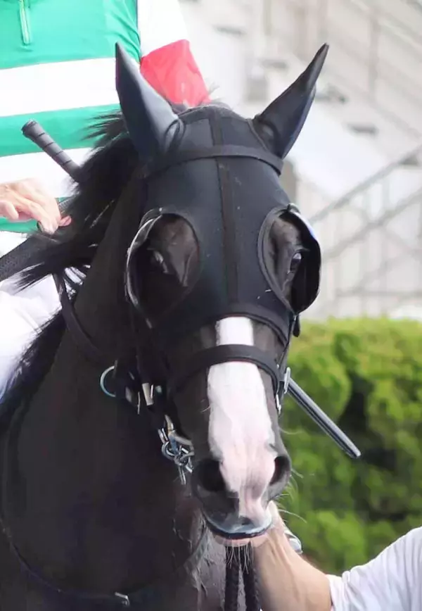 【函館２歳Ｓ】佐々木大輔騎手「馬場の差ですかね」祖母シーザリオの良血馬イモージェンは惜しくも２着