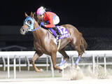 「ゴールデンリングがスポーツ報知杯ベイスプリントを圧勝　川西毅調教師は通算２３００勝」の画像1