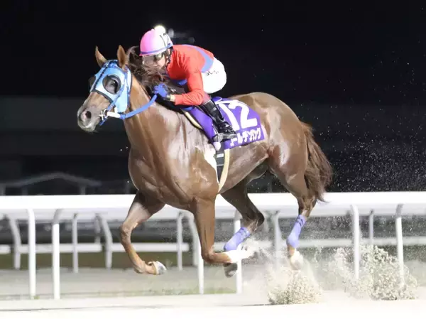 ゴールデンリングがスポーツ報知杯ベイスプリントを圧勝　川西毅調教師は通算２３００勝