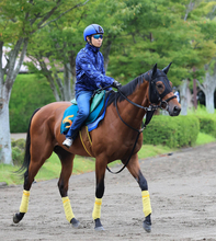【新潟２歳Ｓ・金曜気配】３馬身差Ｖ発進のレッチュベルク　久保田調教師も絶賛「現時点では言うことがない」