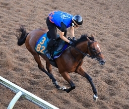日曜新潟競馬場の注目激走馬…新潟７Ｒ新潟２歳ステークス・Ｇ３