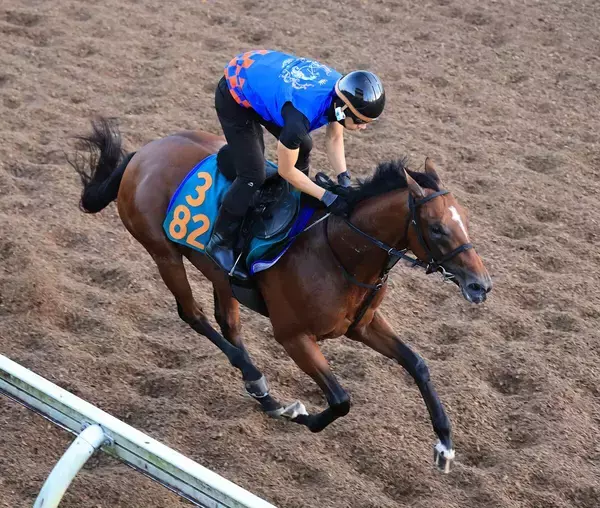 日曜新潟競馬場の注目激走馬…新潟７Ｒ新潟２歳ステークス・Ｇ３